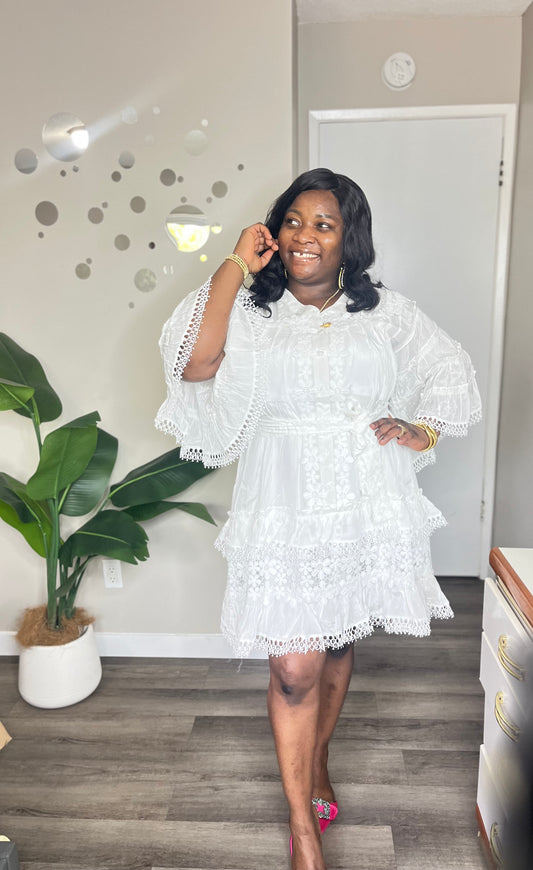 Stylish lacey frill dress